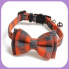 Collar-221
